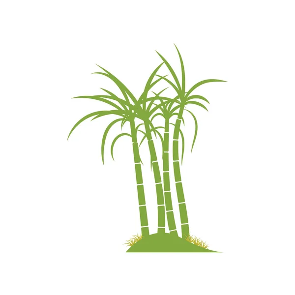 Logo Pianta Canna Zucchero Disegno Illustrazione Vettoriale — Vettoriale Stock