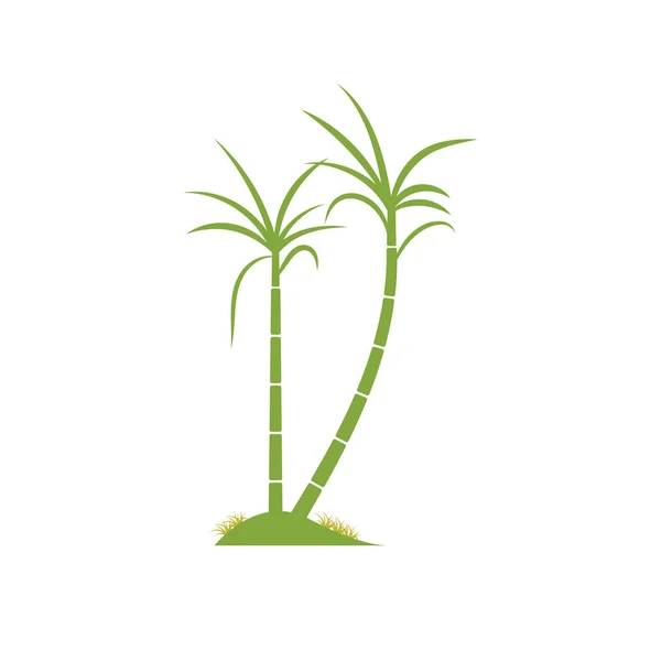 Cana Açúcar Planta Logotipo Vetor Ilustração Design —  Vetores de Stock