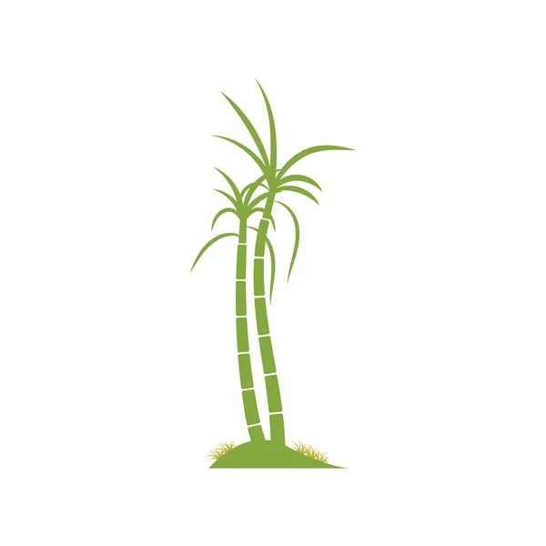 Caña Azúcar Planta Logo Vector Ilustración Diseño — Vector de stock