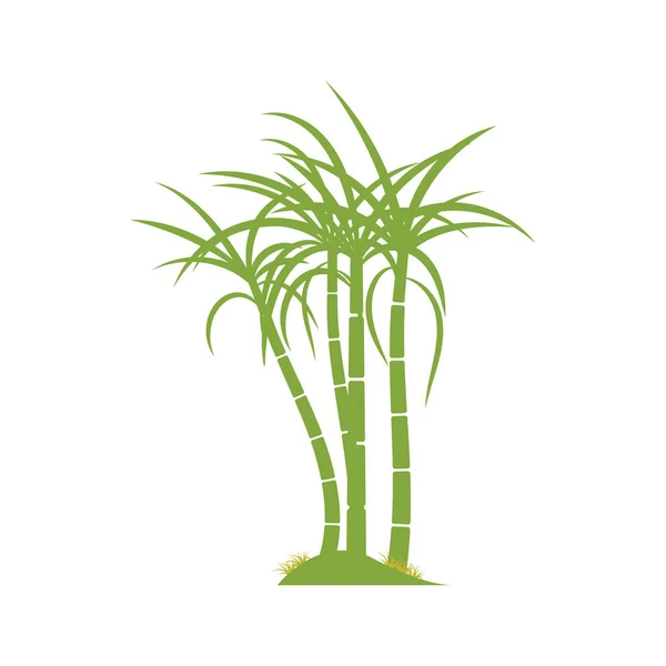 Suikerriet Plant Logo Vector Illustratie Ontwerp — Stockvector