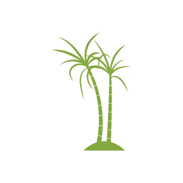 Sugar Cane Plant Logo Vector Illustration Design — Stock Vector