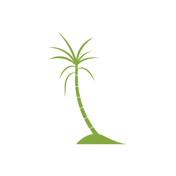 Логотип Рослини Цукрової Тростини Векторний Дизайн Ілюстрації — стоковий вектор