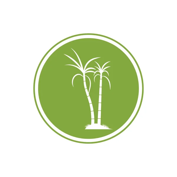 Caña Azúcar Planta Logo Vector Ilustración Diseño — Vector de stock