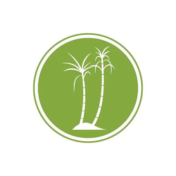サトウキビ植物のロゴベクトルイラストデザイン — ストックベクタ