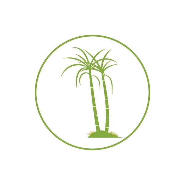 Caña Azúcar Planta Logo Vector Ilustración Diseño — Vector de stock