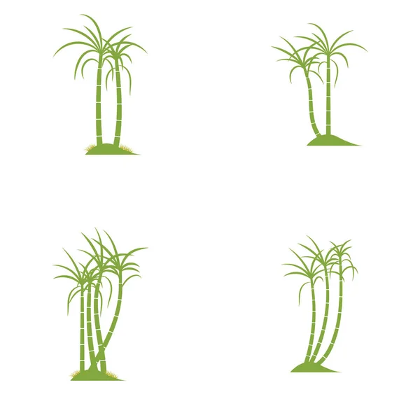 甘蔗植物标识矢量图解设计 — 图库矢量图片