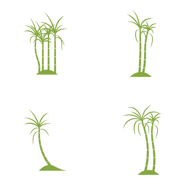 사탕수수 식물로고 일러스트 디자인 — 스톡 벡터