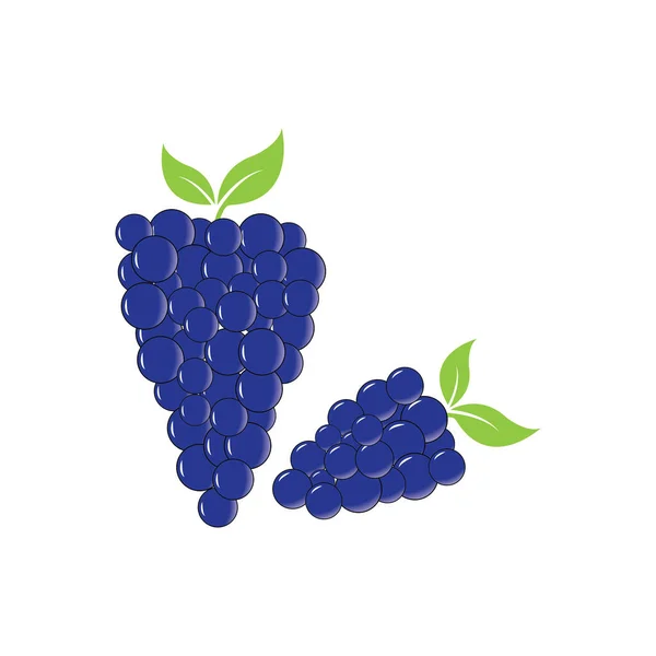 Grapes Logo Template Vector Icon Illustration Design — Stock Vector