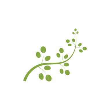 Moringa yaprağı logosu illüstrasyon vektör tasarımı