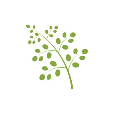 Moringa yaprağı logosu illüstrasyon vektör tasarımı