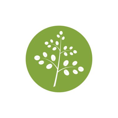 Moringa yaprağı logosu illüstrasyon vektör tasarımı