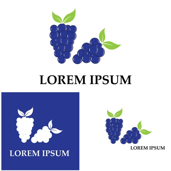 Üzüm logo şablonu vektör illüstrasyon tasarımı