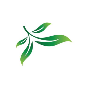 Yeşil ağaç yaprağı ekoloji doğa elementi vektörü logoları