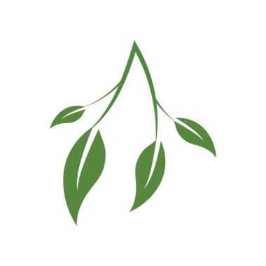 Zeytin yaprağı çizim şablonu