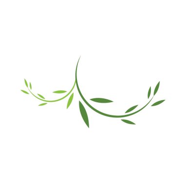 Zeytin yaprağı çizim şablonu