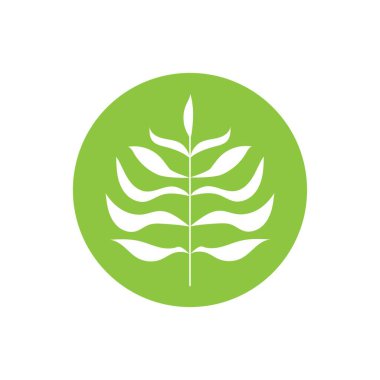 tropikal yaprak vektörü ikon tasarım örnekleme şablonu