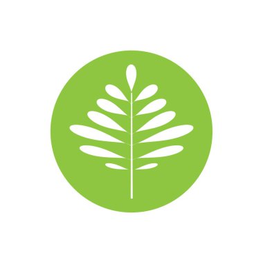 tropikal yaprak vektörü ikon tasarım örnekleme şablonu