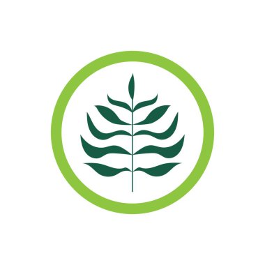 tropikal yaprak vektörü ikon tasarım örnekleme şablonu