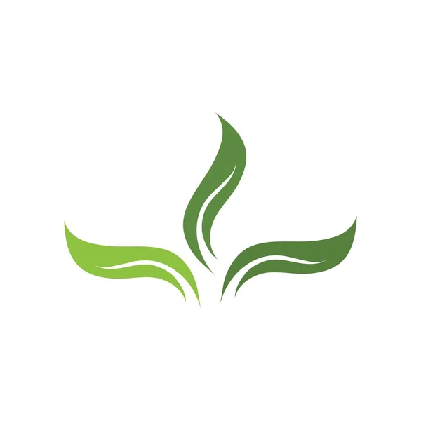 オリーブの葉ベクトルイラストデザインテンプレート — ストックベクタ
