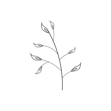 Güzellik çiçek ikonu tasarım şablonu