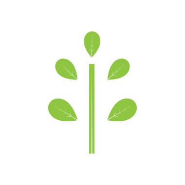 Moringa yaprağı logosu illüstrasyon vektör tasarımı