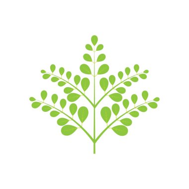 Moringa yaprağı logosu illüstrasyon vektör tasarımı