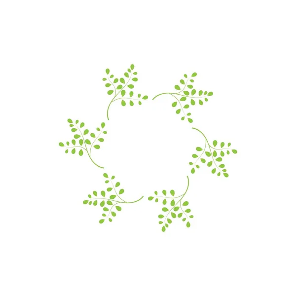 Moringa Leaf Logo Illustration Vector Design — 스톡 벡터