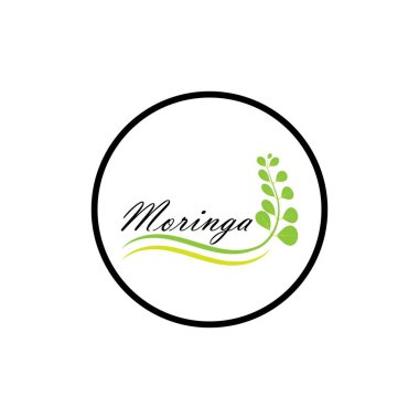 Moringa yaprağı logosu illüstrasyon vektör tasarımı