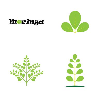 Moringa yaprağı logosu illüstrasyon vektör tasarımı