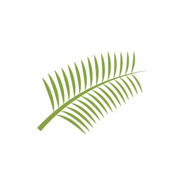 Palmiye ağacı illüstrasyon logo şablonu vektör tasarımı