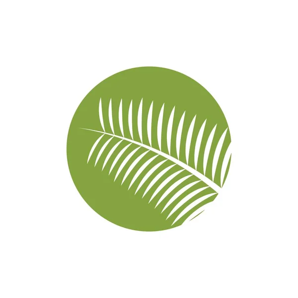 Palme Blatt Illustration Logo Vorlage Vektor Design — Stockvektor