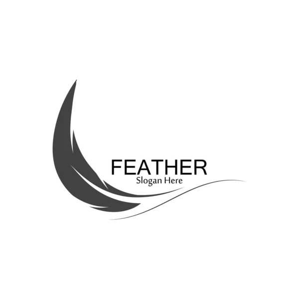 Tüy logo vektör şablonu