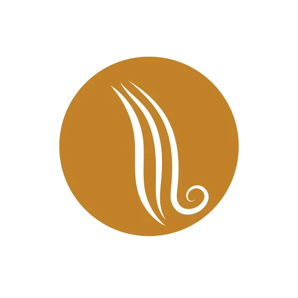 Hiusaalto Logo Vektori Kuvitus Suunnittelu — vektorikuva