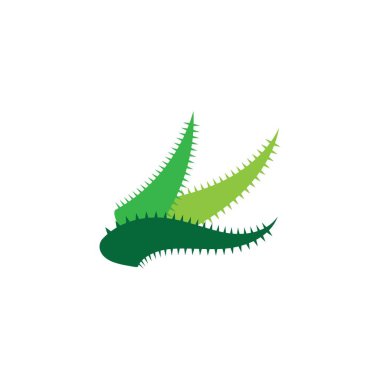 Aloe vera logo vektör ilüstrasyon şablonu