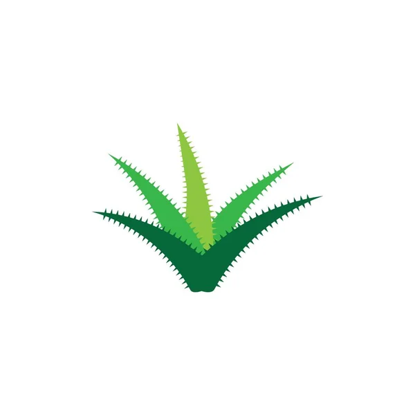 Логотип Алое Вера Векторний Шаблон — стоковий вектор