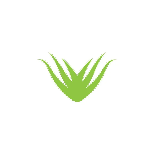 Aloë Vera Logo Vector Ilustratie Template — Stockvector