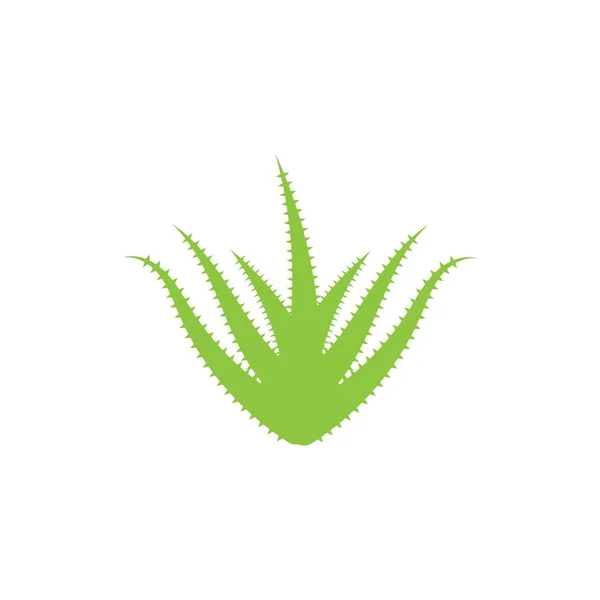 Modello Ilustrazione Vettoriale Logo Aloe Vera — Vettoriale Stock