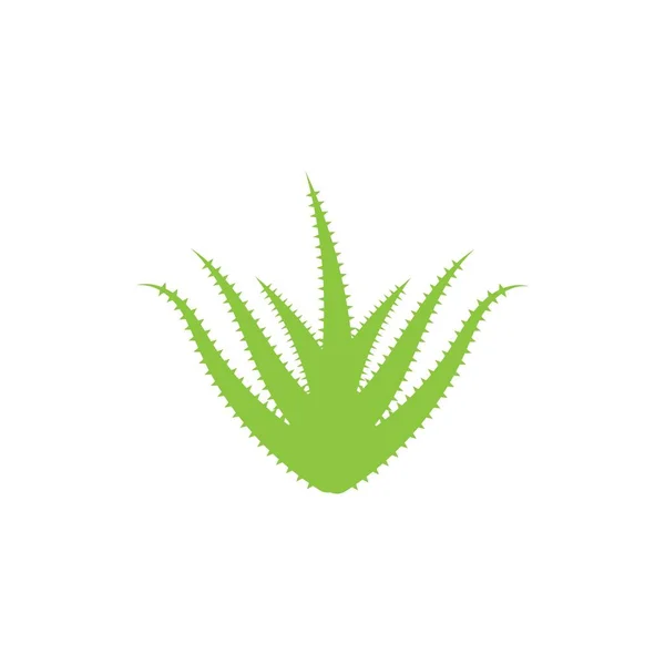 Aloes Vera Logo Wektor Ilustracji Szablon — Wektor stockowy