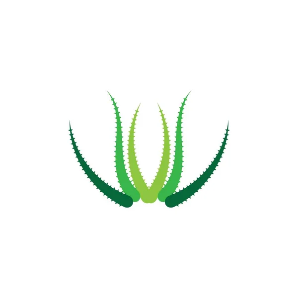 Modello Ilustrazione Vettoriale Logo Aloe Vera — Vettoriale Stock