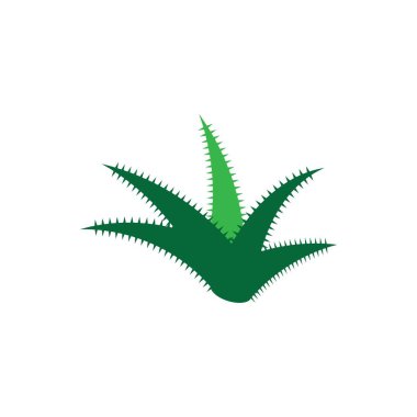 Aloe vera logo vektör ilüstrasyon şablonu