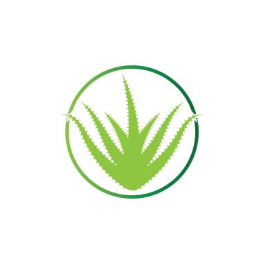 Aloe vera logo vektör ilüstrasyon şablonu