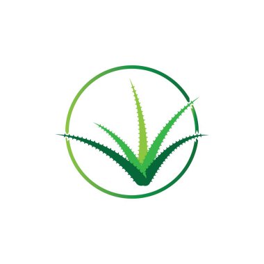 Aloe vera logo vektör ilüstrasyon şablonu