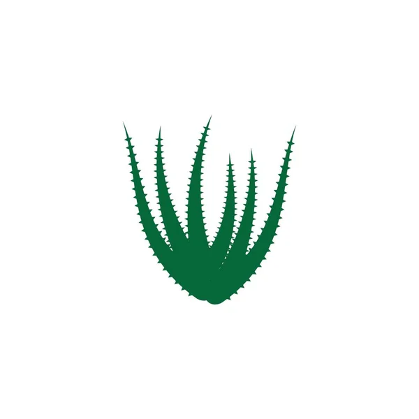 Modèle Ilustration Vectorielle Logo Aloe Vera — Image vectorielle