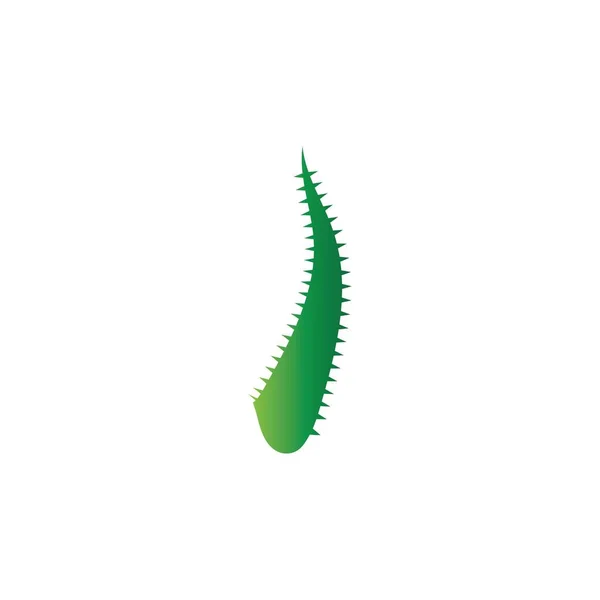 Πρότυπο Ανάλυσης Διανύσματος Λογότυπου Aloe Vera — Διανυσματικό Αρχείο