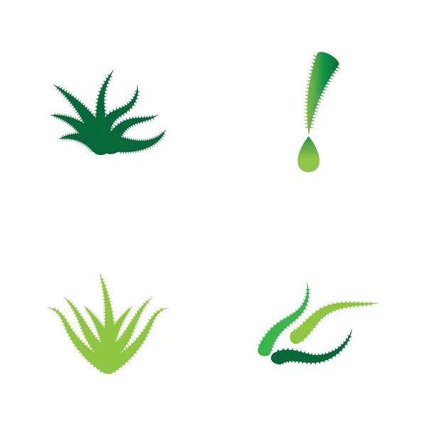 Plantilla Ilustración Del Logotipo Del Aloe Vera — Vector de stock