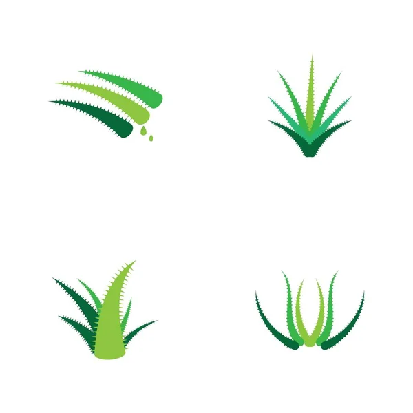 Modèle Ilustration Vectorielle Logo Aloe Vera — Image vectorielle