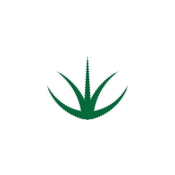 Aloe Vera Logo Vektor Ilustration Mall — Stock vektor