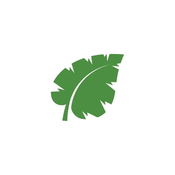 Logo Van Groene Boomblad Ecologie Natuur Element Vector — Stockvector