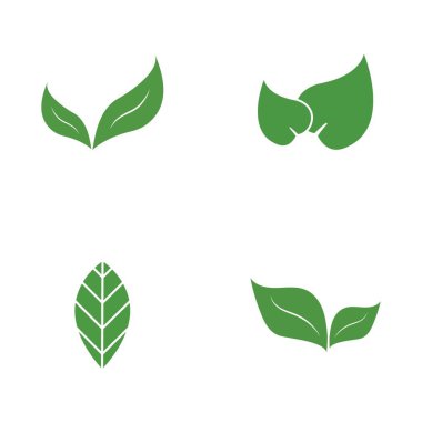Yeşil ağaç yaprağı ekoloji doğa elementi vektörü logoları