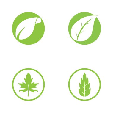 Yeşil ağaç yaprağı ekoloji doğa elementi vektörü logoları